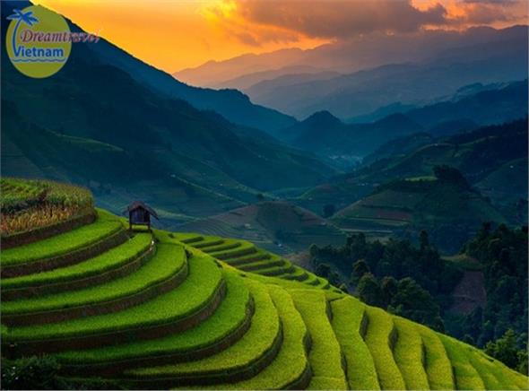 Du lịch Tây Bắc 4 ngày: Mù Căng Chải- Điện Biên- Sơn La- Mộc Châu Du lịch Tây Bắc 4 ngày: Mù Căng Chải- Điện Biên- Sơn La- Mộc Châu